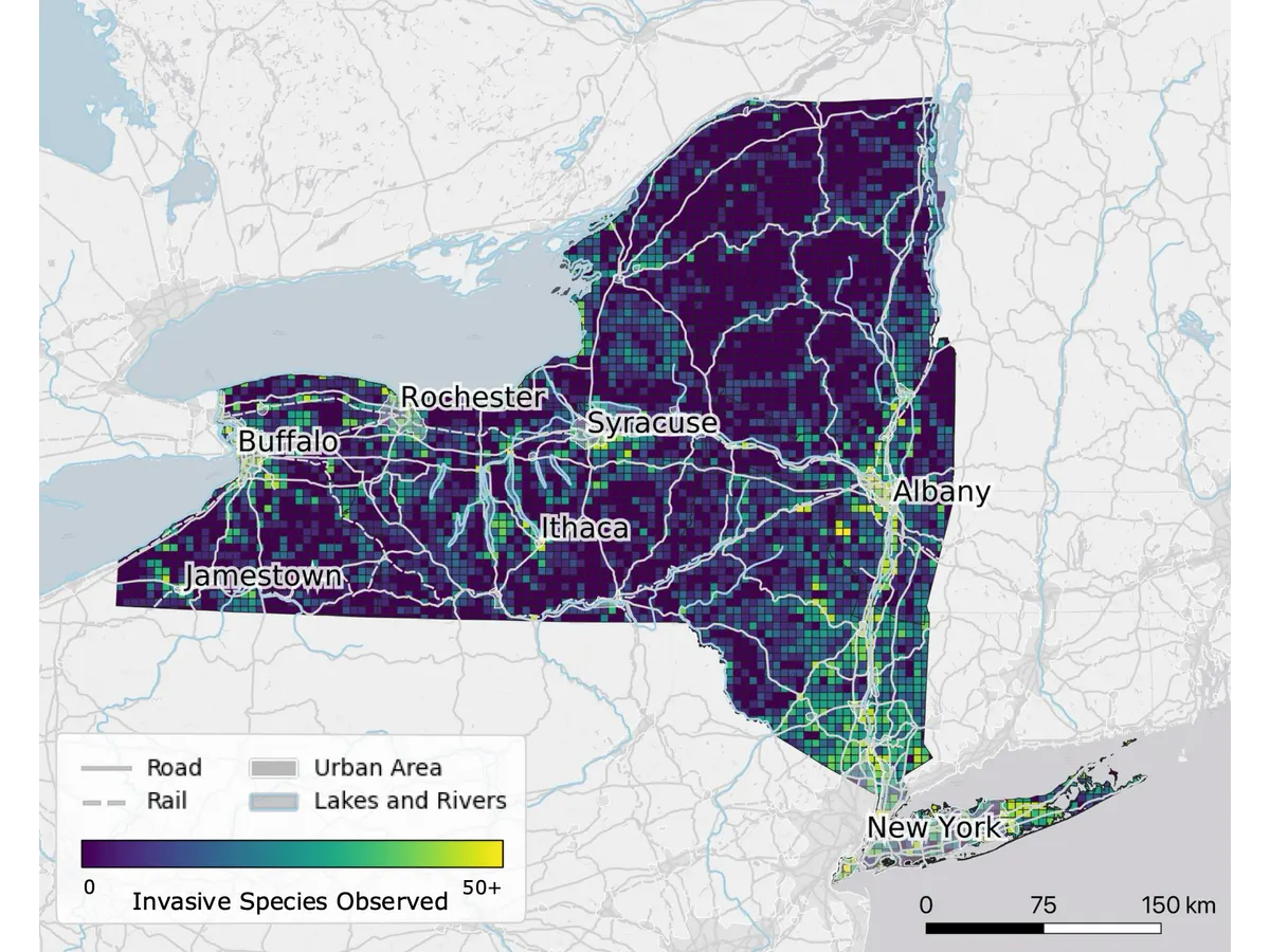 Map preview: Data challenge: Natural Earth